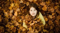 Various Wallpapers for desktop - ��������� ����� �� ������� ���� Release 215