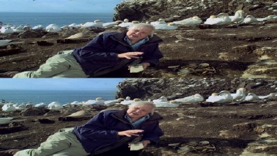 �������� ������� / Flying Monsters 3D with David Attenborough 3D (2011/BDRip)
