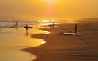 Selected Wallpapers - ������� ����� ��� �������� ����� - Release 216
