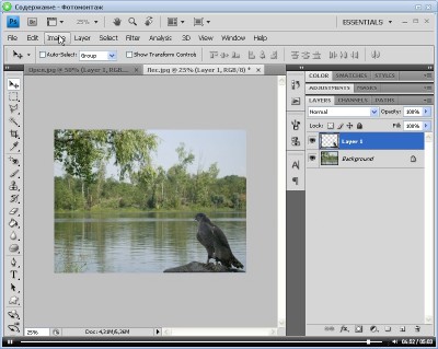    Adobe Photoshop CS4.  (2011)