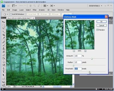    Adobe Photoshop CS4.  (2011)