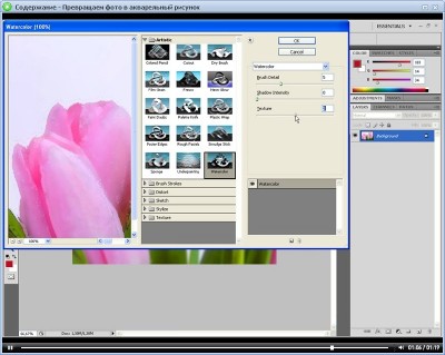    Adobe Photoshop CS4.  (2011)