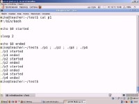 Linux - ������ �����������������. Level 1 (2011)