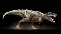 HQ Wallpapers for desktop - ������� ����� ��� �� - Mega Pack 219