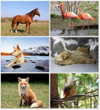 ���� � ���� �������� �������� ����� 20