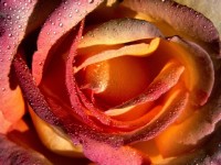 3000 favorites wallpapers - ������� ����� ��� �� 
