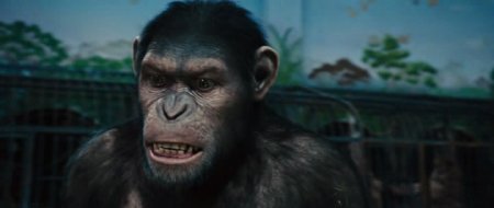 ��������� ������� ������� / Rise of the Planet of the Apes (2011) HDRip
