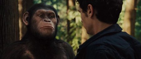 ��������� ������� ������� / Rise of the Planet of the Apes (2011) HDRip