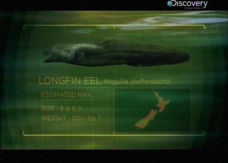 ������ ������� / River monsters (3 ����� 7 ��������/ 2011) IPTVRip