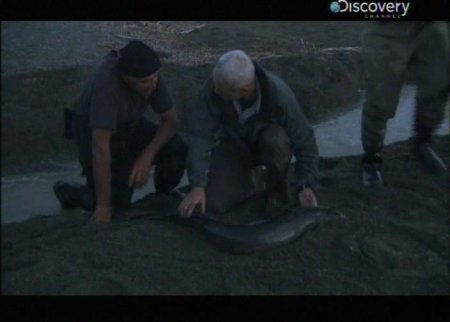������ ������� / River monsters (3 ����� 7 ��������/ 2011) IPTVRip