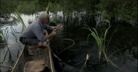 ������ ������� / River monsters (3 ����� 7 ��������/ 2011) IPTVRip