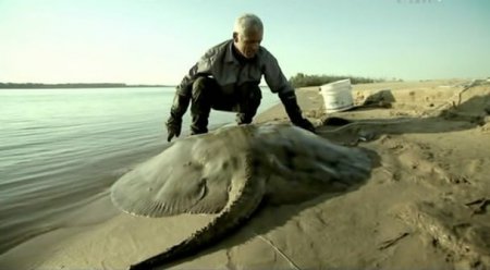 ������ ������� / River monsters (3 ����� 7 ��������/ 2011) IPTVRip
