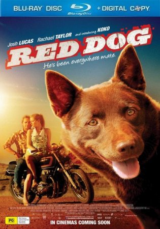 ����� ��� / Red Dog (2011/HDRip)