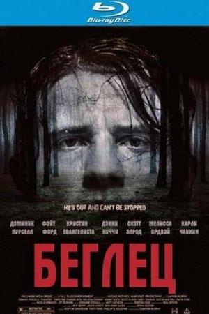 ������ / Escapee (2011/HDRip)