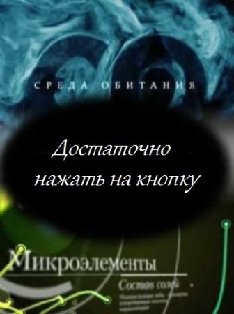 ����� ��������. ���������� ������ �� ������ (2011) SATRip