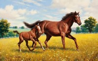 Selected Wallpapers - ������� ����� ��� �� - Super Pack 449