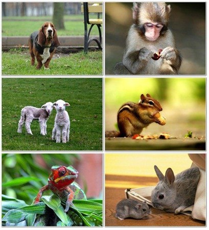 ���� � ���� �������� �������� ����� 26