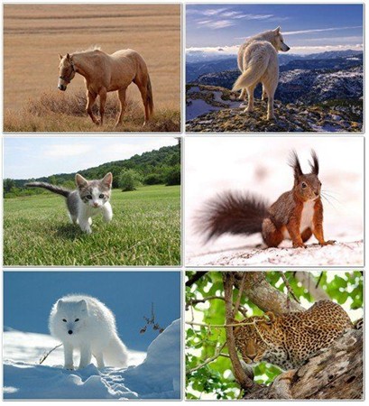 ���� � ���� �������� �������� ����� 27