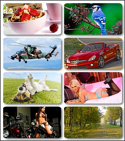 ������� �������� ����� / 100 beautiful images