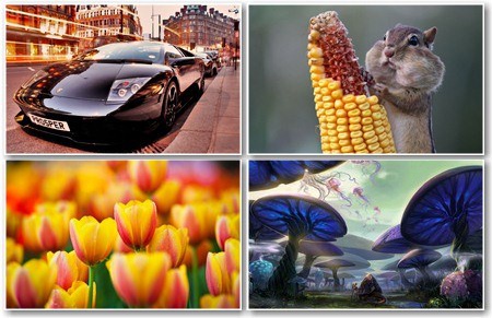 Favorites Wallpapers for desktop - ���� ��� �� � 454