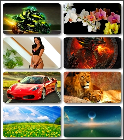 ������� �������� ����� / 235 beautiful images