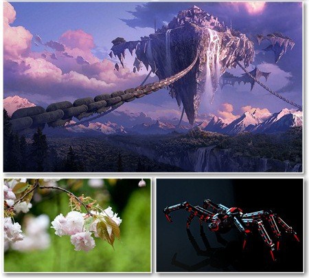 HQ Wallpapers - ���� �� ������� ���� - Release 459