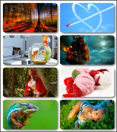 ���� ��� �������� ����� ��������� ������� (����� 24)