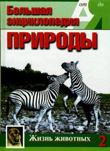 ����� ��������. ��� 2