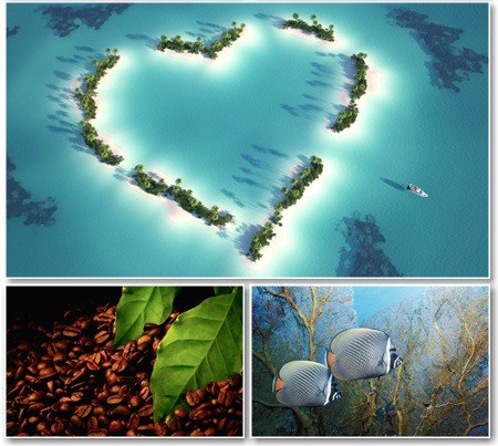 Amazing Wallpapers for PC - ���� ��� �� - Pack 468