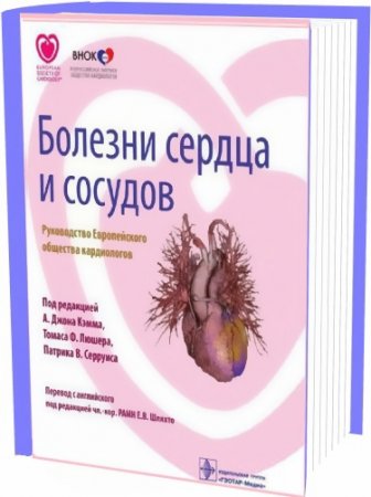 ������� ������ � �������. ����������� ������������ �������� �����������