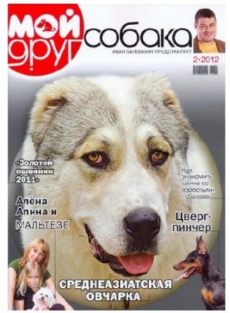 ��� ���� ������ �2 (������� 2012)