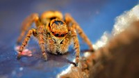 Favorites Wallpapers - ���� ��� �� - Release 475
