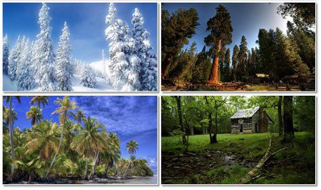 Amazing nature for PC - ��������� ����� ��� ��. Mega Pack 9