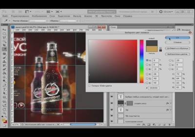 ������ Web-������� (������ ����) (2011/DVDRip)