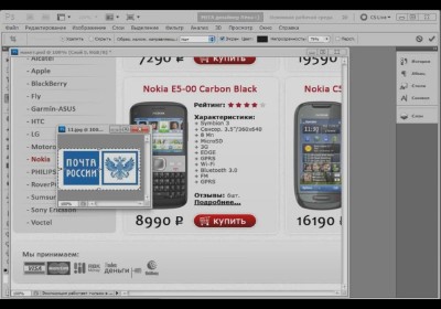 ������ Web-������� (������ ����) (2011/DVDRip)