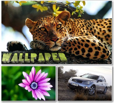 Excellent Wallpapers for desktop - ���� ��� �������� ����� - Pack 486