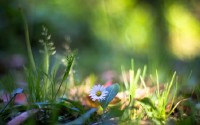Wonderful Wallpapers - ���� �� ������� ���� - Release 493