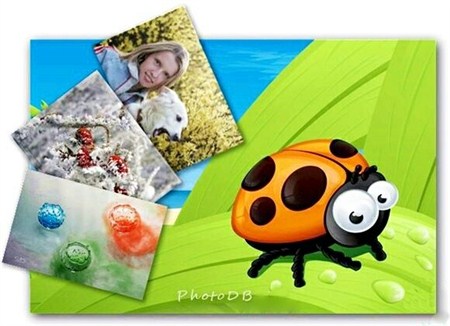 Photo Database 2.3.3 Portable