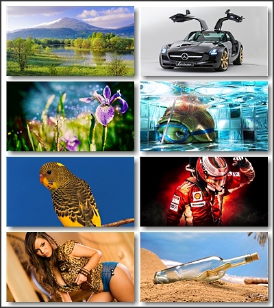 ������������ ���� / 115 Excellent wallpapers