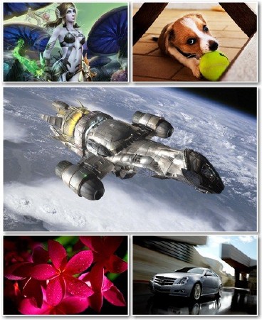 Wonderful Wallpapers for PC - ������� ����� ��� �� � 509