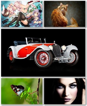 Various Wallpapers - ���� ��� �� - Pack 510