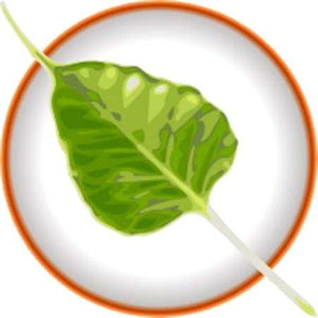 Bodhi Linux 1.4.0 i386 (1xCD)