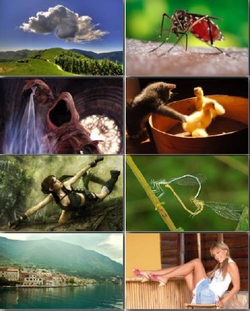 HQ Wallpapers - ��������� ����� �� ������� ���� - Release 231