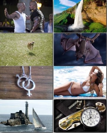 Excellent Wallpapers - ������� ����� ��� �������� ����� - Mega Pack 239