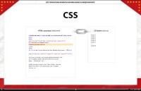   CSS ()