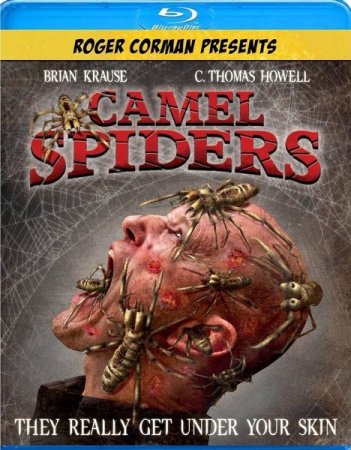 ��������� ����� / Camel Spiders (2012/HDRip)