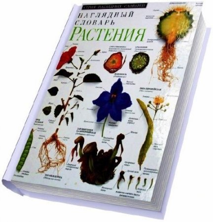 ��������. ��������� �������