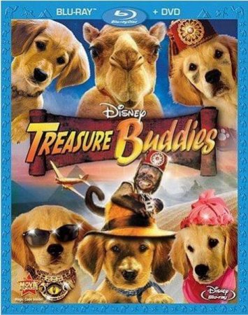   / Treasure Buddies (2010/HDRip)