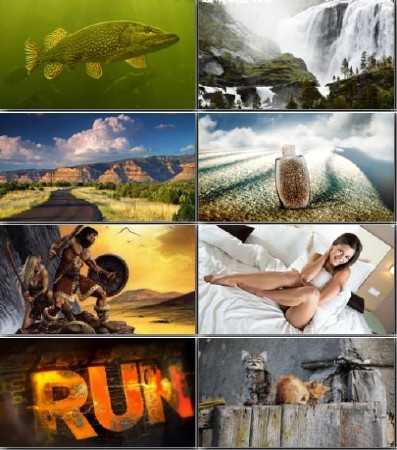 Colorful Wallpapers - ���� ��� �� - Pack 261