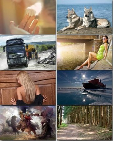 Favorites Wallpapers for PC - ���� �� ������� ���� - Release 263